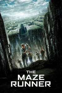 The Maze Runner - Posters