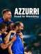 Blue Dream: The Road to Wembley