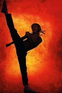 The Karate Kid - Posters