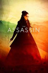 The Assassin - Poster