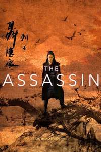 The Assassin - Poster