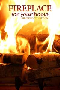 4K Fireplace - Poster