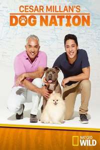 Cesar Millan's Dog Nation - Poster