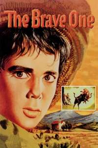 The Brave One - Posters