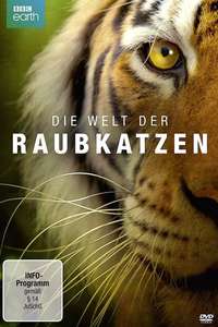 Big Cats - Posters
