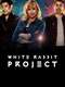 White Rabbit Project