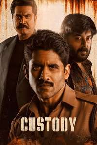 Custody - Poster