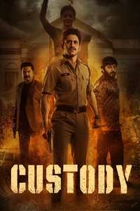 Custody - Poster