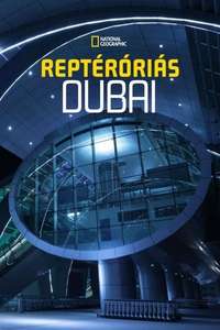 Ultimate Airport Dubai - Poster