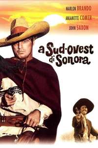 The Appaloosa - Poster