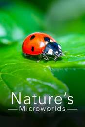 Nature's Microworlds Season 1