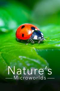 Nature's Microworlds - Poster
