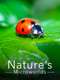 Nature's Microworlds : Season 1