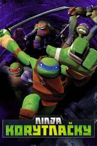 Teenage Mutant Ninja Turtles - Posters