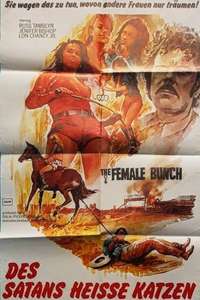 The Female Bunch - Posters