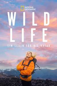 Wild Life - Posters