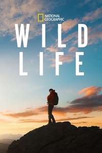 Wild Life - Posters