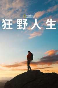 Wild Life - Posters