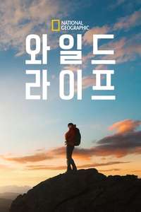 Wild Life - Posters