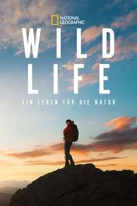 Wild Life - Posters
