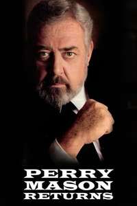 Perry Mason Returns - Poster