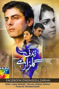 Zindagi Gulzar Hai - Poster