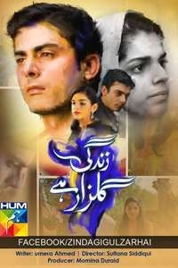 Zindagi Gulzar Hai - Poster