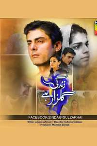 Zindagi Gulzar Hai - Poster