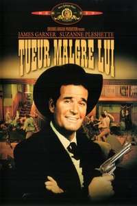 Support Your Local Gunfighter - Posters