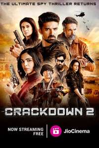 Crackdown - Posters