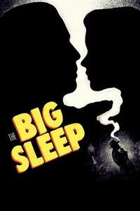 The Big Sleep - Poster
