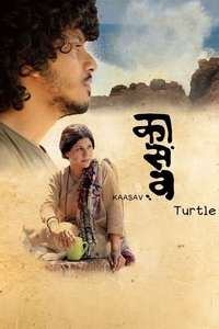 Turtle - Poster