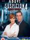 Above Suspicion : Season 4