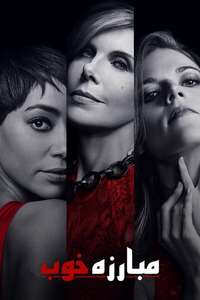 The Good Fight - Posters