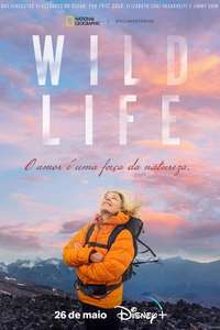 Wild Life - Posters