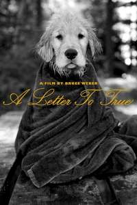 A Letter To True - Poster