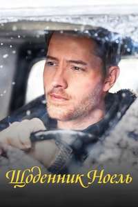 The Noel Diary - Poster