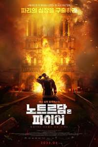 Notre-Dame on Fire - Poster