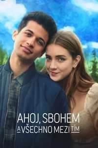 Hello  Goodbye and Everything In Between - Poster