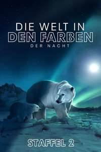 Earth At Night In Color - Posters