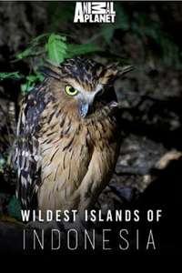 Wildest Islands of Indonesia - Poster
