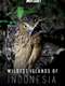 Wildest Islands of Indonesia : Season 1