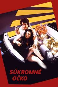 City Hunter - Poster