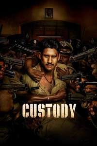 Custody - Poster