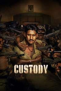 Custody - Poster