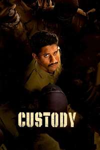 Custody - Poster
