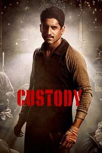 Custody - Poster