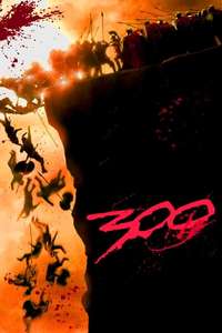 300 - Posters