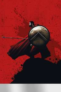 300 - Posters