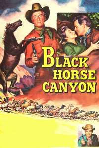 Black Horse Canyon - Poster